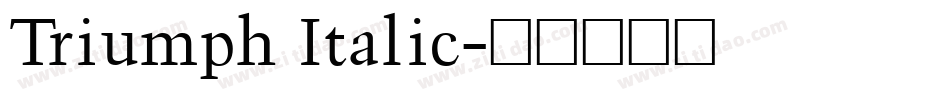 Triumph Italic字体转换